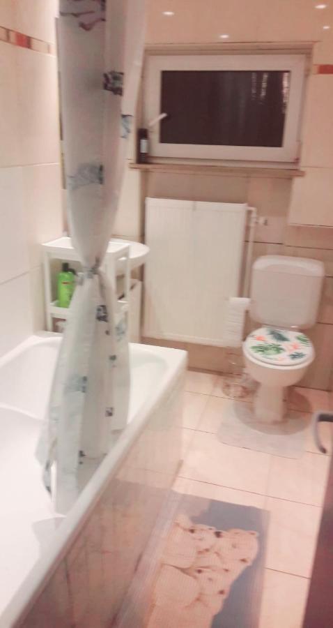 Belle Chambre Dans Un Quartier Calme Anderlecht Zewnętrze zdjęcie